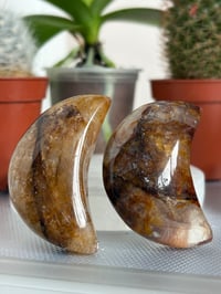 Image 1 of Golden Healer Moons