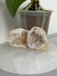 Image 2 of Mini Quartz Geodes