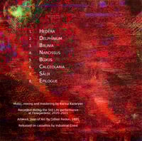 Image 2 of KP Transmission and Flowergardenz