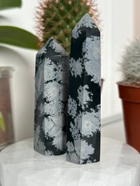 Image 2 of Snowflake Obsidian Towers