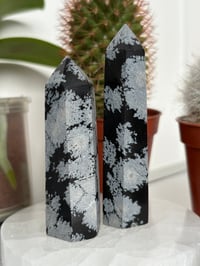 Image 1 of Snowflake Obsidian Towers