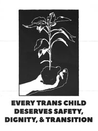 Image 2 of safety, dignity, & transition 