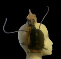 Image 3 of Wasteland Apocalypse Road Warrior Distressed Head Gear Ear Protection