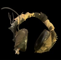Image 1 of Wasteland Apocalypse Road Warrior Distressed Head Gear Ear Protection