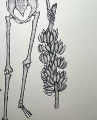 Image 4 of Realeza Limited Edition Print