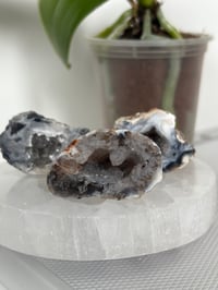 Image 2 of Mexican Crazy Lace Agate Geodes
