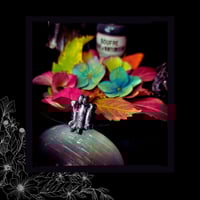 Image 3 of ☽ Ossvarivm ☾