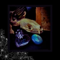 Image 4 of ☽ Ossvarivm ☾