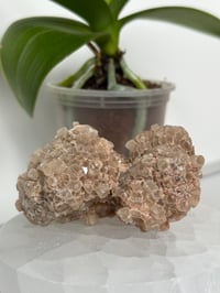 Image 1 of Aragonite Cluster