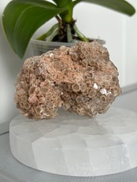 Image 2 of Aragonite Cluster