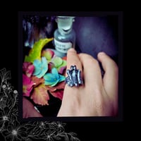 Image 6 of ☽ Ossvarivm ☾