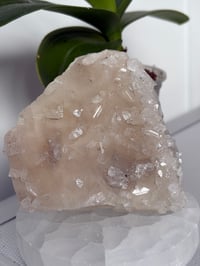 Image 1 of Apophyllite 