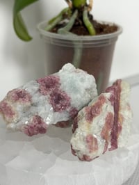 Image 1 of Rubellite (Pink Tourmaline) in Albite