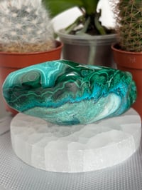 Image 3 of Malacholla Freeform 2