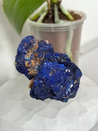 Image 2 of Azurite Specimen