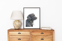 Image 2 of Black Lab - Print of an Original Colored Pencil Dog Portrait