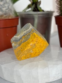 Image 2 of Small Bumblebee Jasper Freeform