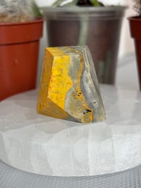Image 1 of Small Bumblebee Jasper Freeform