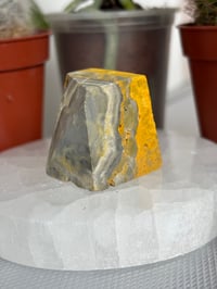 Image 3 of Small Bumblebee Jasper Freeform