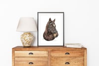 Image 3 of Star- Print of an Original Colored Pencil Horse Portrait