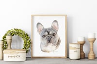 Image 2 of Frenchie - French Bulldog - Print of an Original Colored Pencil Dog Portrait