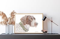 Image 3 of German Short Haired Pointer - Print of an Original Colored Pencil Dog Portrait