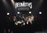 FORBIDDEN POSTER //LIMITED EDITION//