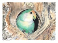 Image 1 of The Rough with the Smooth - Print of an Original Lovebird Colored Pencil Portrait