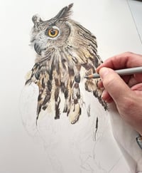 Image 5 of King - Print of an Original European Eagle Owl Colored Pencil Portrait