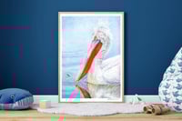Image 3 of On the Open Seas - Print of a Pelican Original Colored Pencil Bird Portrait
