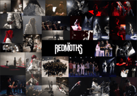 FORBIDDEN POSTER - PHOTOCOLLECTOR //LIMITED EDITION//