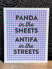 Image 1 of Panda in the Sheets, Antifa in the Streets
