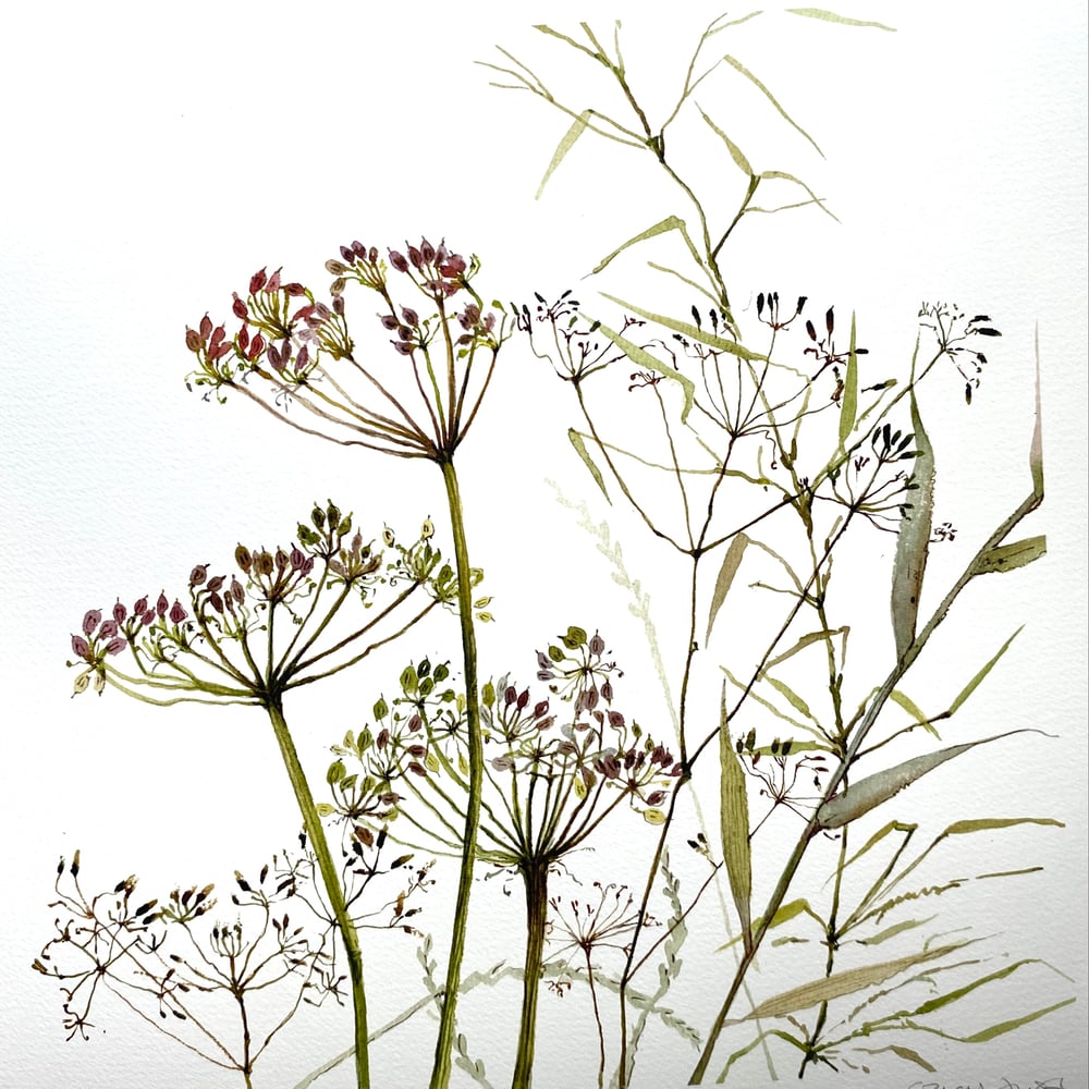 Image of Hedgerow 2