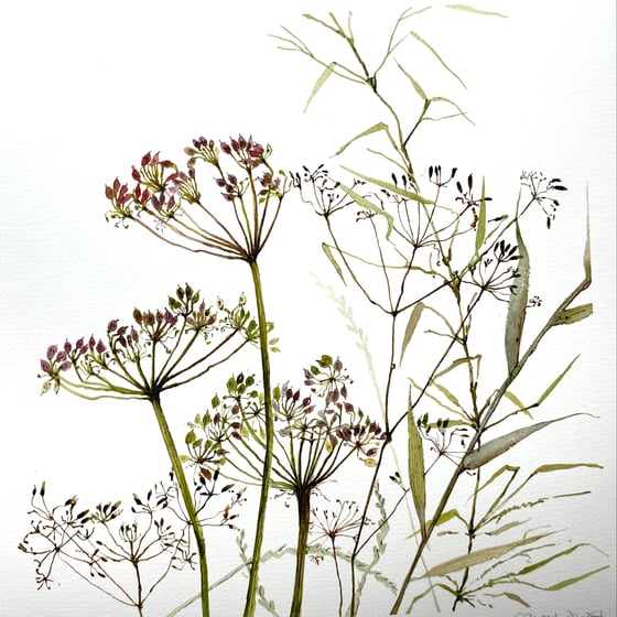 Image of Hedgerow 2