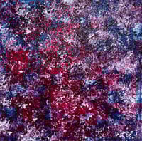 Image 1 of Crimson Cosmos