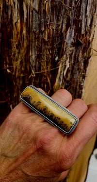Image 1 of Landscape Picture Jasper Ring Sterling Silver