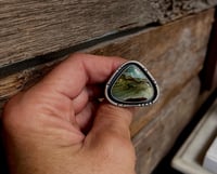 Image 1 of Vistaite Jasper Ring Sterling Silver
