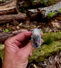 Image 3 of Graveyard Plume Point Agate Sterling Silver Ring