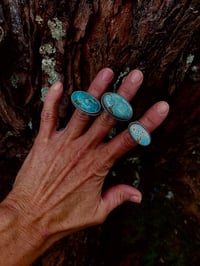 Image 4 of Lone Mountain Turquoise Ring Sterling Silver