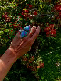 Image 5 of Kingman Red Web Turquoise Ring Sterling Silver .