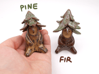 Image 2 of Little Conifer Dryads