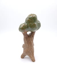 Image 4 of Little Deciduous Dryads