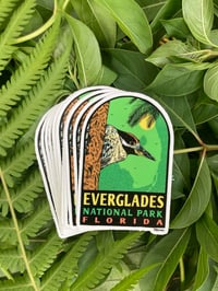 Everglades Sticker