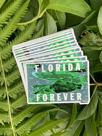 Florida Forever Sticker