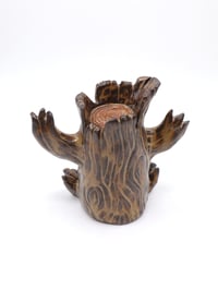 Image 4 of Little Snag Dryads