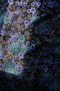 Image 1 of ♲ Meadow - Custom Bikini Material - XS-XL