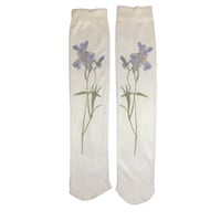 Image 1 of LIRIO socks