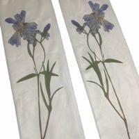 Image 2 of LIRIO socks