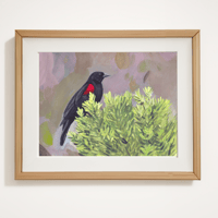 Image 1 of Red-winged Blackbird Print