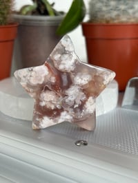 Flower Agate Star